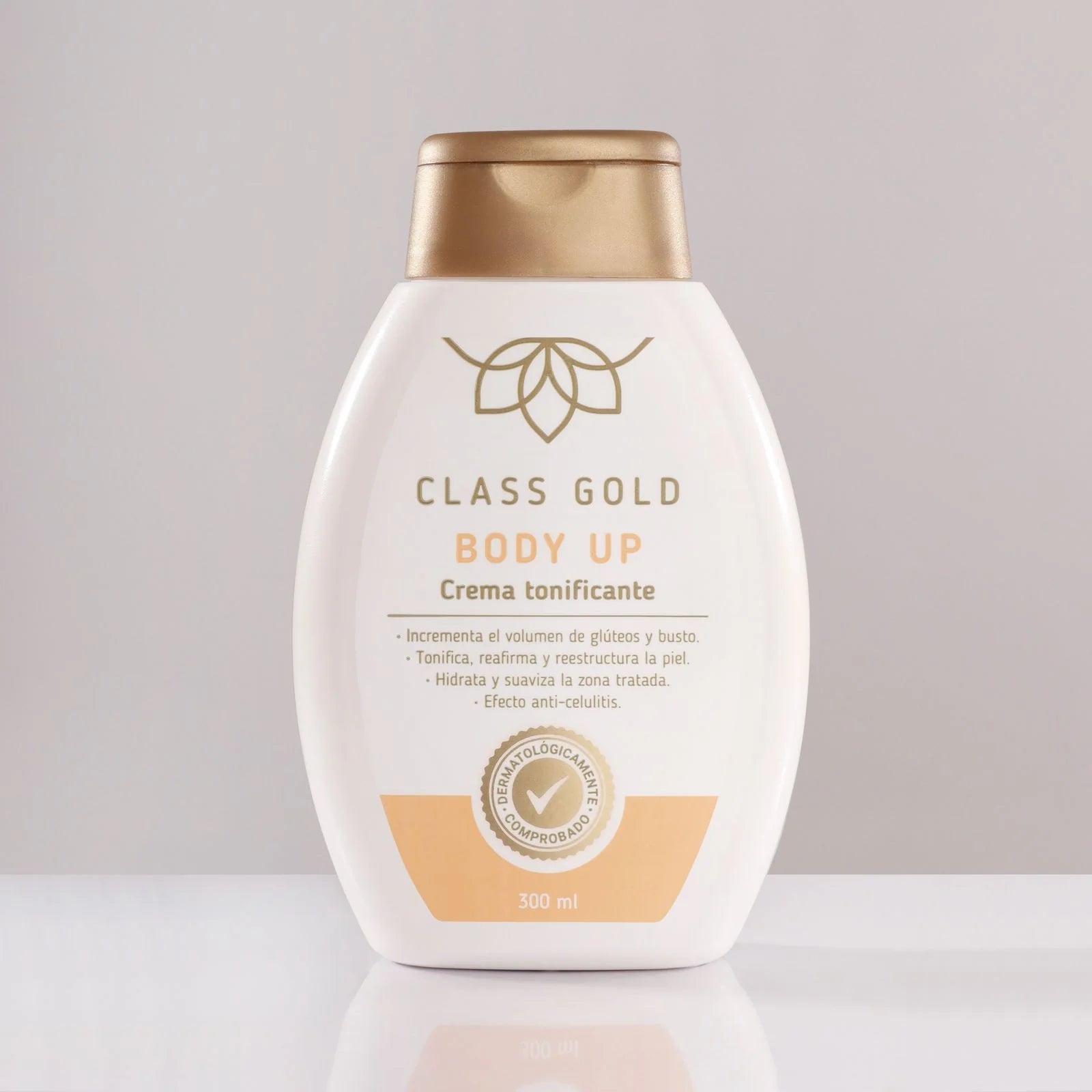 CLASS GOLD BODY UP